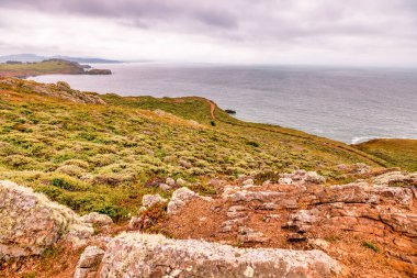 Rocky tepeleri ve yemyeşil yeşillik Pasifik Okyanusu 'na bakıyor. Marin Burunlarında engebeli bir patika boyunca. San Francisco, California yakınlarında manzaralı bir kıyı bölgesi.