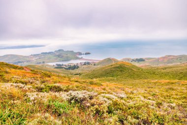 Kuzey Kaliforniya 'da dramatik kıyı gökyüzünün altında Pasifik Okyanusu' na bakan, Rodeo Sahili yakınlarındaki Marin Burnu 'nun yemyeşil tepelerinde dolambaçlı yollar..
