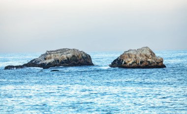 Kaliforniya, Big Sur yakınlarındaki Garrapata Eyalet Parkı 'nda manzaralı bir sahil manzarası, engebeli uçurumlar, canlı bitkiler ve açık bir bahar gününde Pasifik Okyanusu boyunca uzanan ikonik 1.
