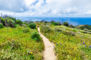 Soberanes Kanyonu 'nun yukarısındaki kayalık yamaçta dinlenen yürüyüşçü, Big Sur dağları ve Pasifik Okyanusu manzaralı 1. Otoyol, California, parçalı bulutlu bir bahar gününde