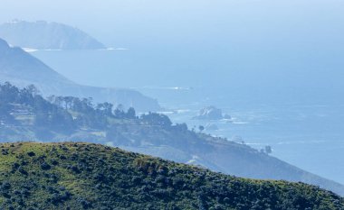 Garrapata Eyalet Parkı 'ndaki Soberanes Canyon Trailhead' in sahil manzarası. Yuvarlanan yeşil tepeler mavi Pasifik Okyanusuyla buluşuyor. Deniz yığınları ve kayalıklar kıyı sisinin içinde kayboluyor.
