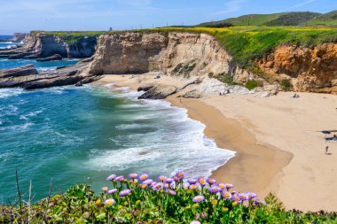 California 'daki Panther Sahili' nde turkuaz dalgalar, altın kum ve dramatik uçurumlar var. Açık bir bahar gününde yukarıdan görüldü.