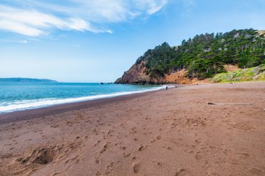 Kaliforniya 'daki Kirby Koyu Sahili' nde kırmızı kum, mavi okyanus dalgaları ve çam ağaçlarıyla kaplı dramatik uçurumlar. San Francisco yakınlarında gizli bir mücevher, doğa, seyahat ve kıyı keşfi temaları için mükemmel.