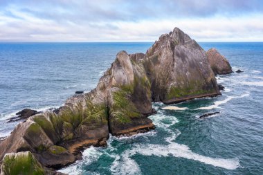 Pacifica yakınlarındaki California sahilindeki San Pedro Kayası 'nın havadan görüntüsü. Pasifik Okyanusu 'ndan keskin çizgili uçurumlar, engebeli dokular, deniz kuşları ve sisli atmosfer vahşi bir sahil manzarası yaratır.