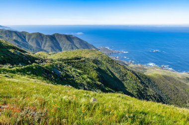 Açık bir ilkbahar gününde, Garrapata Eyalet Parkı 'ndaki Soberanes Kanyonu' nun 1 numaralı otoban boyunca uzanan okyanus ve dağ manzarası taze yeşil tepelerle çevrilidir.