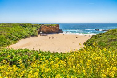 California 'daki Panther Sahili' nde turkuaz dalgalar, altın kum ve dramatik uçurumlar var. Açık bir bahar gününde yukarıdan görüldü.