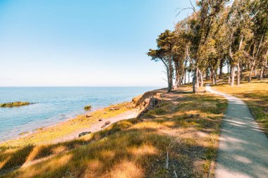 San Mateo 'daki Coyote Point Rekreasyon Bölgesi' nde, güneşli bir günde San Francisco Körfezi 'ne bakan sahil ağaçlarının arasından geçen manzara. Huzurlu doğa deniz kenarında yürüyor.