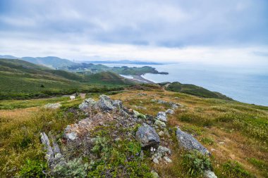 Marin Burunlarındaki Rodeo Sahili Sahil Yolu 'ndan panoramik manzara, yeşil tepeler, engebeli kıyı şeridi ve San Francisco yakınlarındaki kasvetli bir gökyüzünün altında Pasifik Okyanusu..
