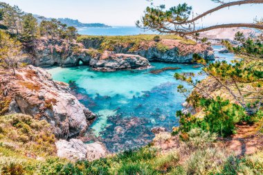 Point Lobos State Doğal Rezervi, Kaliforniya 'daki China Cove' un nefes kesici manzarası. Turkuaz sular, kayalık kayalıklar ve berrak bir yaz gökyüzü altında canlı kıyı bitkileri.