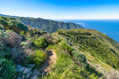 Soberanes Canyon Trailhead 'den Büyük Sur sahil şeridi panoramik manzarası, yeşil tepeler, okyanus kayalıkları ve California kıyısı boyunca uzanan 1. Otoyol üzerindeki dolambaçlı bir patika.