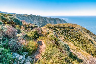 Soberanes Canyon Trailhead 'den Büyük Sur sahil şeridi panoramik manzarası, yeşil tepeler, okyanus kayalıkları ve California kıyısı boyunca uzanan 1. Otoyol üzerindeki dolambaçlı bir patika.