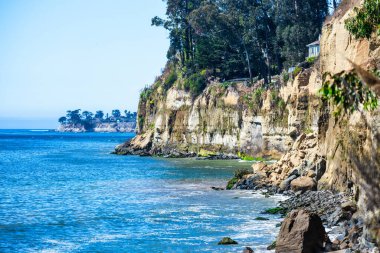 Coastal cliffs near Santa Cruz, California, USA, along Highway 1. Steep sandstone bluffs with trees overlook the Pacific Ocean, framed by tall coastal grasses swaying in the breeze under clear blue sky