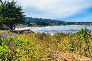 Carmel, California 'daki Carmel Meadows Patikası' nın manzarası, kır çiçekleri ve kıyı bitkileri tarafından çerçevelenmiş. Turkuaz Pasifik Okyanusu, parçalı bulutlu bir yaz gökyüzünün altında kumlu sahille buluşur.