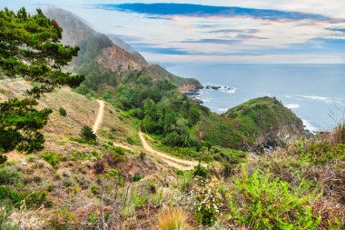 Scenic view of Partington Cove in Big Sur, California. Rugged cliffs, lush greenery, and the Pacific Ocean create a dramatic coastal landscape, a popular hiking and travel destination along Highway 1