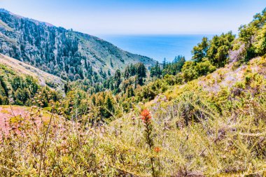Büyük Sur yakınlarındaki yeşil tepeler ve orman dağları, Pasifik Okyanusu 'nun olduğu Büyük Sur yakınlarında, manzaralı kıyı manzarası, doğa ve açık hava seyahati yakalıyor.