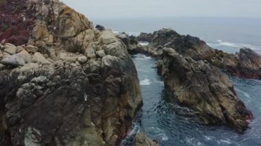 Big Sur California, 1. Karayolu boyunca uzanan engebeli Pasifik sahil şeridinin video görüntüleri. Kayalık kayalıklar, çarpan okyanus dalgaları ve vahşi Kaliforniya sahili manzarası.