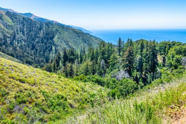 Büyük Sur yakınlarındaki yeşil tepeler ve orman dağları, Pasifik Okyanusu 'nun olduğu Büyük Sur yakınlarında, manzaralı kıyı manzarası, doğa ve açık hava seyahati yakalıyor.