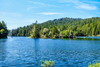Scenic view of Loch Lomond Recreation Area in Santa Cruz Mountains, California USA, with clear blue water, forested hills, and summer sky reflecting tranquility and natural beauty