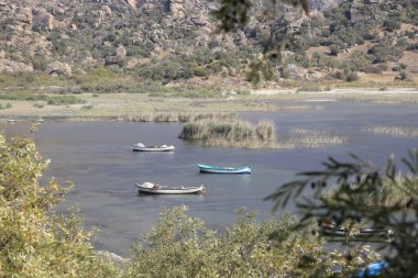Türkiye 'deki Bafa Gölü kıyısı boyunca demirlemiş balıkçı tekneleri. Seçici Odaklanma.