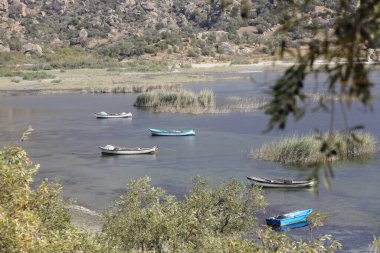 Türkiye 'deki Bafa Gölü kıyısı boyunca demirlemiş balıkçı tekneleri. Seçici Odaklanma.