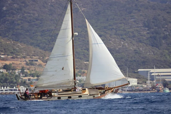 Bodrum Türkei November 2022 Traditionelle Türkische Boots Oder Gulet Kreuzfahrt — Stockfoto