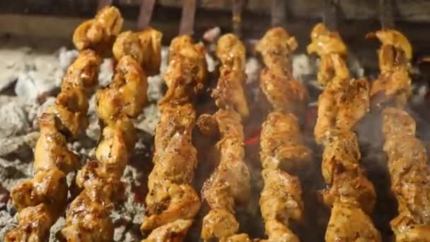 Shish Kebab Grelha Fechar Carne — Vídeo de Stock