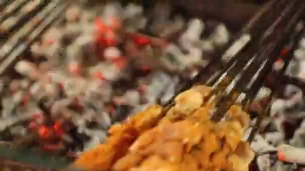 Shish Kebab Sulla Griglia — Video Stock