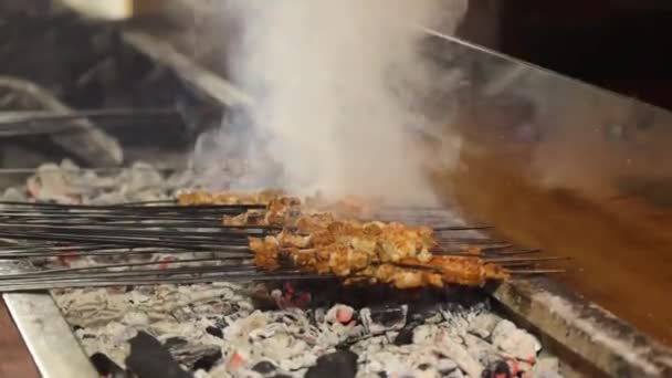 Shish Kebab Grillu — Wideo stockowe