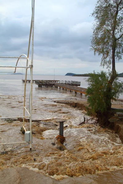 Бодрум Мугла Турция Января 2014 Года Проливной Дождь Обрушившийся Популярный — стоковое фото