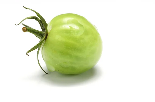 실효되지 토마토 토마토 식물은 선택적으로 합니다 배경에 고립됨 — 스톡 사진