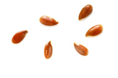 Keten tohumu, keten tohumu, beyazı izole edilmiş linum tohumu. Sağlıklı besin yığını geçmişi. Diyet, vejetaryen ya da temiz yeme konsepti. Makro yakın çekim.