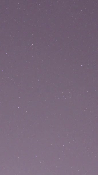 Timelapse Des Traînées Stellaires Mouvantes Dans Ciel Nocturne Vidéo Verticale — Video