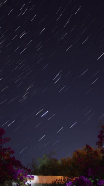 Хронология Движения Звездных Дорожек Ночном Небе Вертикальное Видео Социальных Сетей — стоковое видео