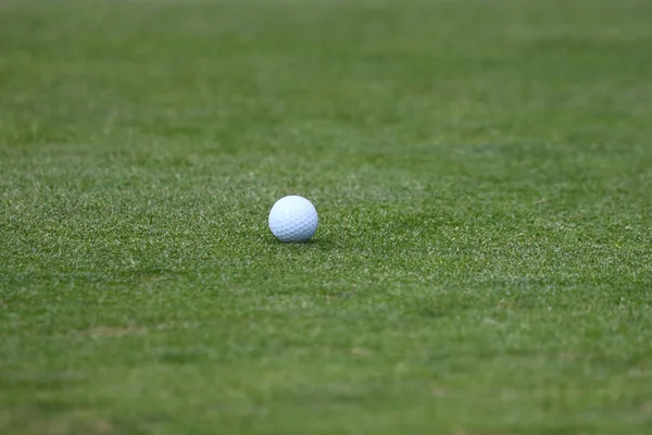 ゴルフ場コンセプトのサンライトプレイグラウンドに柔らかいフォーカスでゴルフボールを閉じた緑の草 — ストック写真