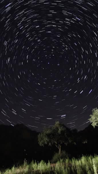 前景に山頂がある天の川の星の眺め ナイトスカイ自然夏の風景 永遠の気象シャワーの観測 ソーシャルメディア向けの垂直ビデオ — ストック動画