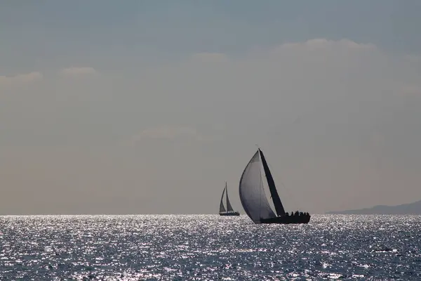 Яхты Белыми Парусами Гонке Регата Открытом Море — стоковое фото