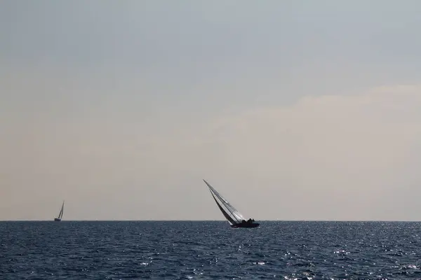 Sailing Ship Yachts White Sails Race Regatta Open Sea — Stock Photo, Image