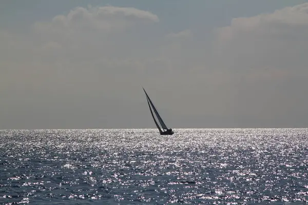 Bateau Voile Yachts Voiles Blanches Course Régate Pleine Mer — Photo