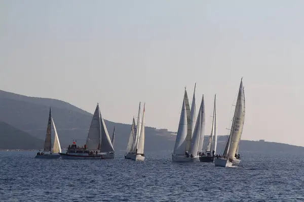Bodrum Türkei Januar 2020 Segelboote Segeln Bei Windigem Wetter Den — Stockfoto
