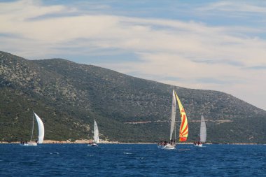 Bodrum, Hindi. 01 Mart 2020: Yelkenliler Ege Denizi 'nin mavi sularında, ünlü tatil beldesi Bodrum' un kıyılarında rüzgarlı havada yelken açıyor..