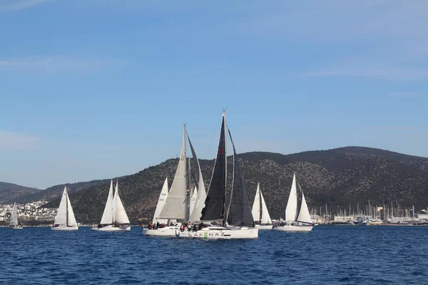 Bodrum, Hindi. 01 Mart 2020: Yelkenliler Ege Denizi 'nin mavi sularında, ünlü tatil beldesi Bodrum' un kıyılarında rüzgarlı havada yelken açıyor..