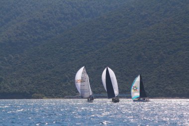Bodrum, Hindi. 01 Mart 2020: Yelkenliler Ege Denizi 'nin mavi sularında, ünlü tatil beldesi Bodrum' un kıyılarında rüzgarlı havada yelken açıyor..