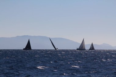 Bodrum, Hindi. 01 Mart 2020: Yelkenliler Ege Denizi 'nin mavi sularında, ünlü tatil beldesi Bodrum' un kıyılarında rüzgarlı havada yelken açıyor..