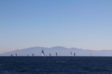 Bodrum, Hindi. 01 Mart 2020: Yelkenliler Ege Denizi 'nin mavi sularında, ünlü tatil beldesi Bodrum' un kıyılarında rüzgarlı havada yelken açıyor..