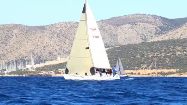 ボドルム トルコ 2024 セイルボートは 有名な休日の目的地ボドルムの海岸エーゲ海の青い海で風の強い天候で航行します — ストック動画