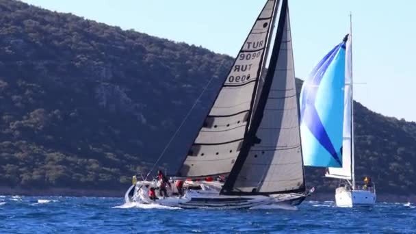 土耳其 Bodrum 2024年1月14日 帆船在爱琴海蓝色水域的大风天气中航行 地点是著名的度假目的地博德 — 图库视频影像