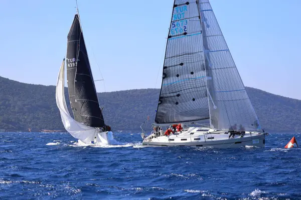 Bodrum, Hindi. 03 Şubat 2024: Ege Denizi 'nin mavi sularında, ünlü tatil beldesi Bodrum' un kıyılarında yelkenliler rüzgarlı havada yelken açıyor.