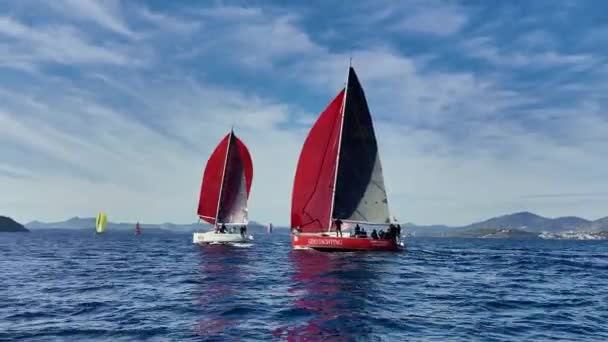 Bodrum Turkiet 2024 Segelbåtar Seglar Blåsigt Väder Egeiska Havets Blå — Stockvideo
