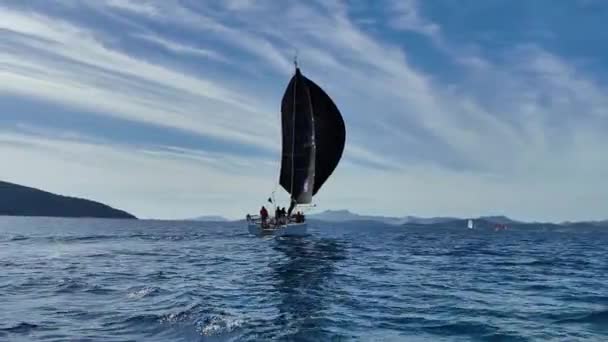 Bodrum Hindi Şubat 2024 Ege Denizi Nin Mavi Sularında Ünlü — Stok video