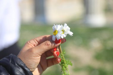 Bahar mevsiminde kadınların elleri badem çiçeklerine dokunur.